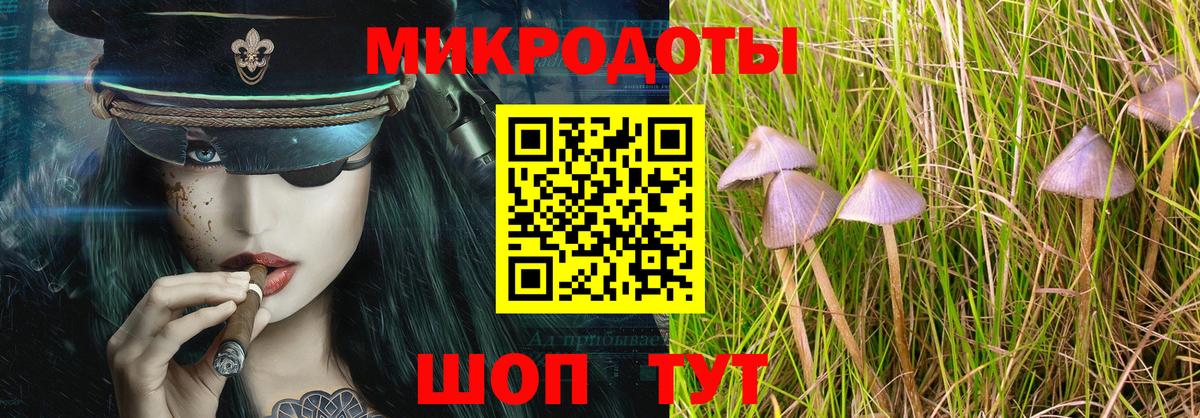 Каспийск  Галлюциногенные грибы Psilocybe  Вход с VPN 