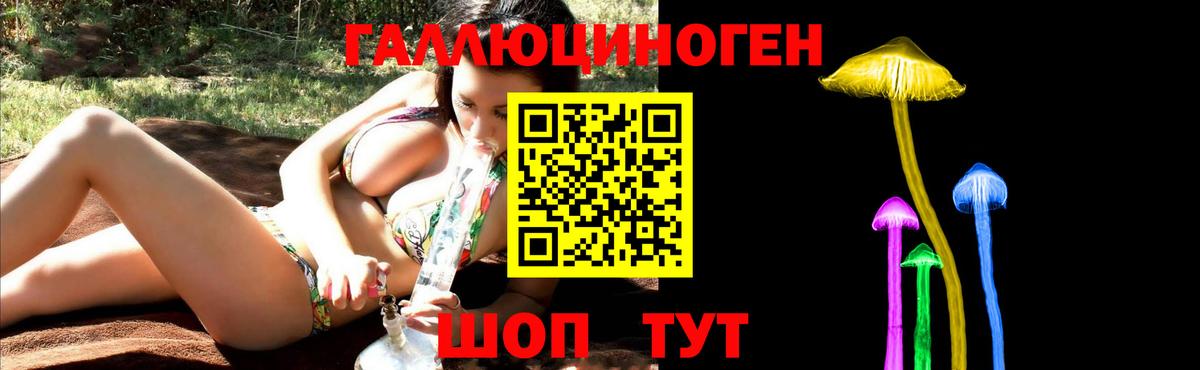 Псилоцибиновые грибы Cubensis Каспийск